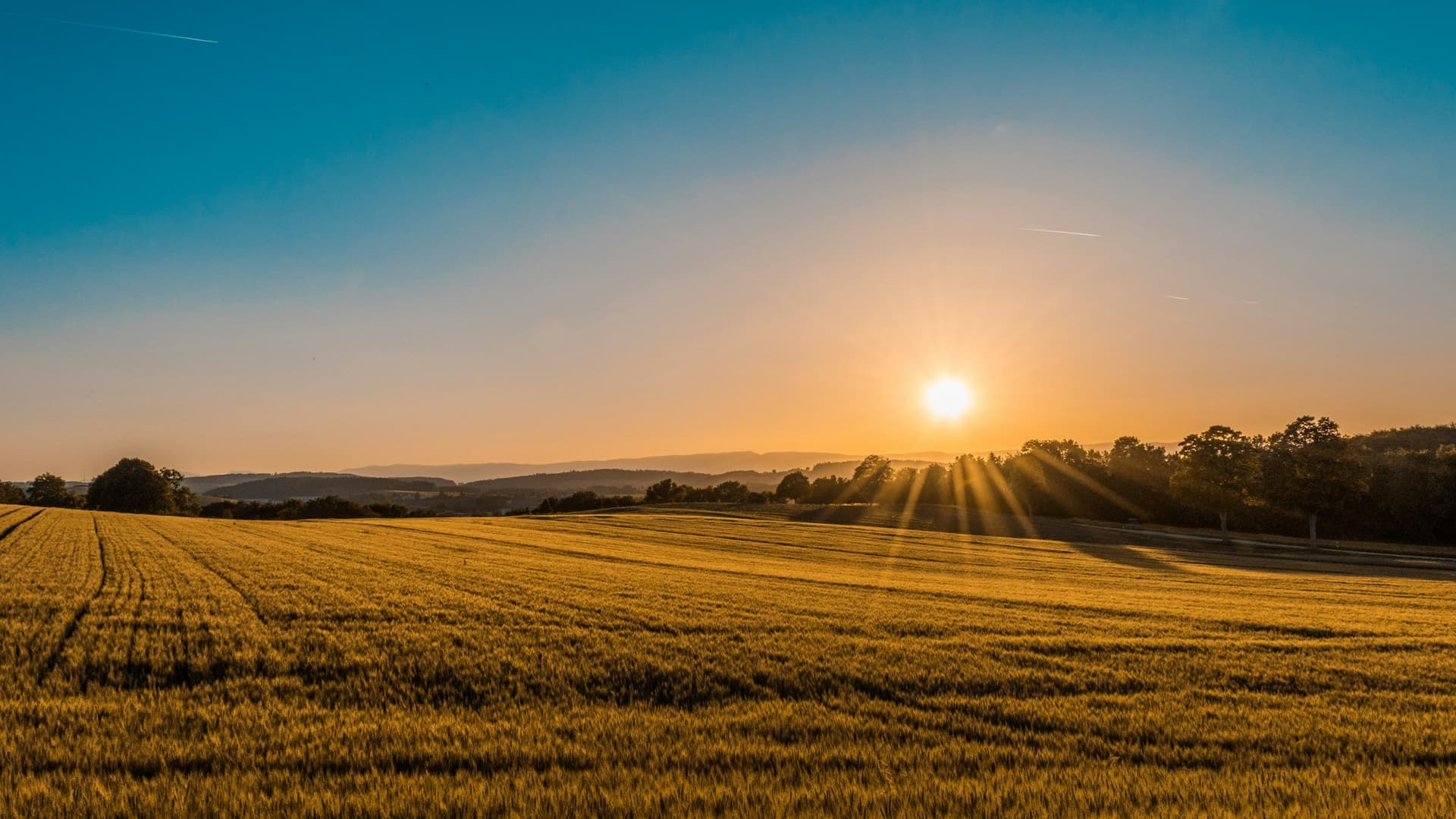 Lavoura ao nascer do sol, contexto de propriedade agrícola